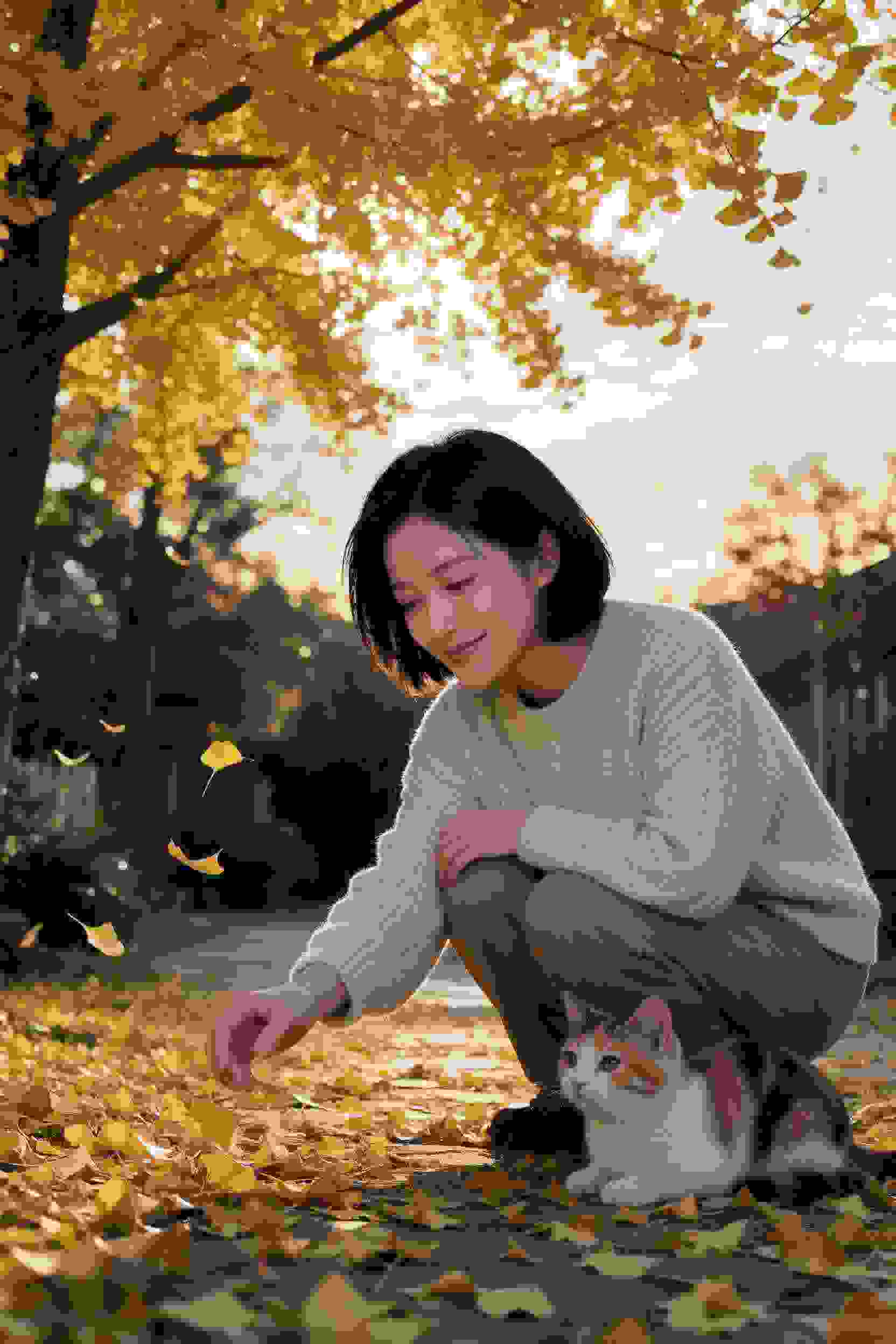 轻音少女